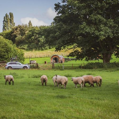 Hidden Wood Glamping And The Hideaway Cabin Warminster Esterno foto